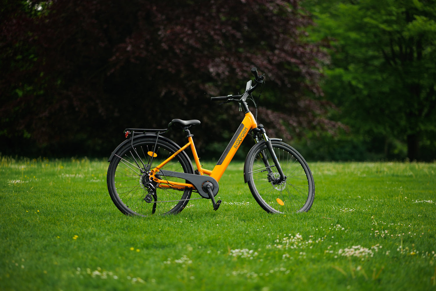 Why Are Electric Bikes the Future of Urban Living?