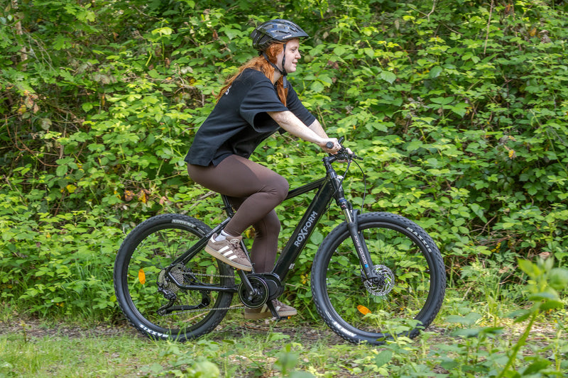 Roxform eBike